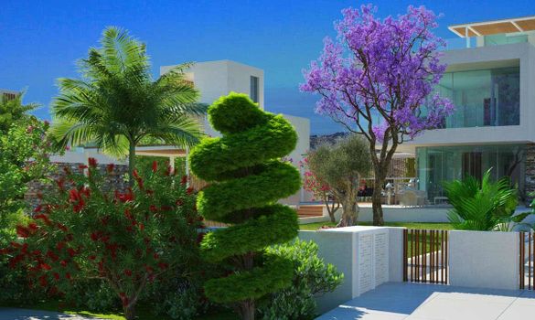Villas- A0124 - photo-8