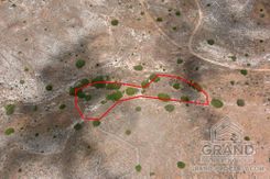 Field - 6038 - photo-12