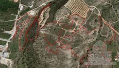 Field - 6038 - photo-1