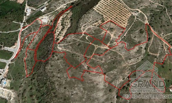 Field - 6038 - photo-1