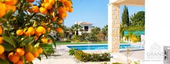 Villas- A0585 - photo-4
