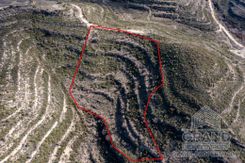 Field - 6077 - photo-3