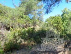 Field - 7691 - photo-2