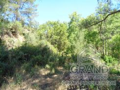 Field - 7691 - photo-3