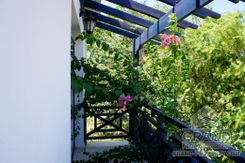 940 m2 - 6039 - photo-13