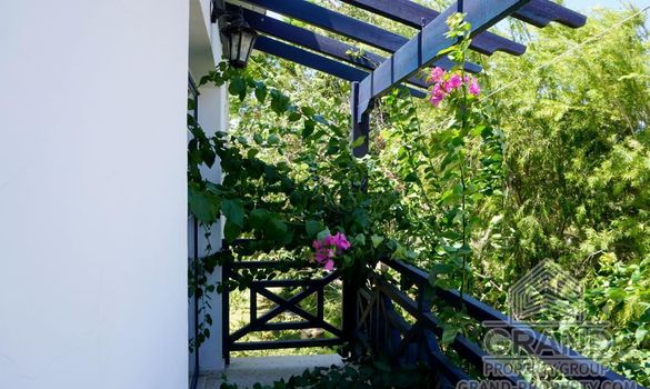 940 m2 - 6039 - photo-13