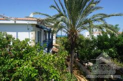 940 m2 - 6039 - photo-33