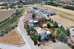 940 m2 - 6039 - photo-5