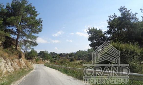 Field - 6514 - photo-2