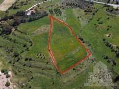 Field - 6685 - photo-2