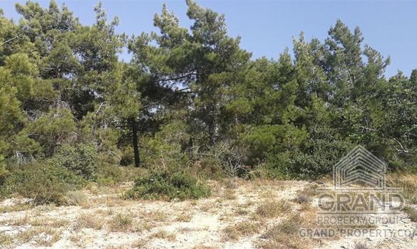 Field - 7537 - photo-3