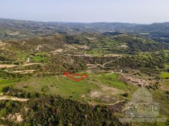 Field - 6236 - photo-2
