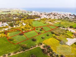 Field - 6866 - photo-1