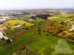 Field - 6866 - photo-3
