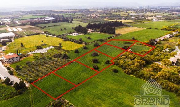 Field - 6866 - photo-3