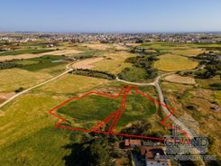Field - 6228 - photo-1