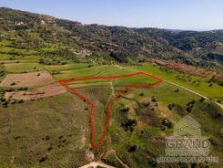 Field - 6222 - photo-1