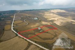 Field - 6149 - photo-2