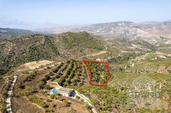 Field - 7059 - photo-5