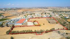Field - G7824 - photo-7