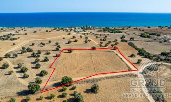 Field - G4855 - photo-5