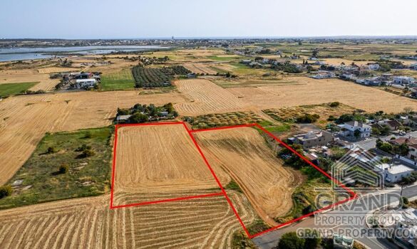Field - G8428 - photo-8