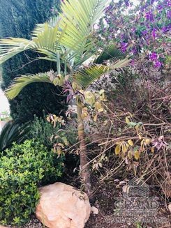 250 m2 - 4133 - photo-17