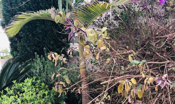 250 m2 - 4133 - photo-17