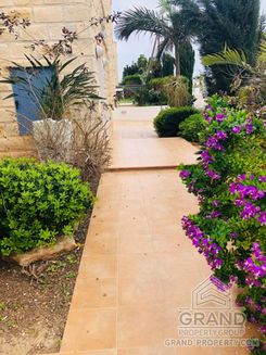 250 m2 - 4133 - photo-18
