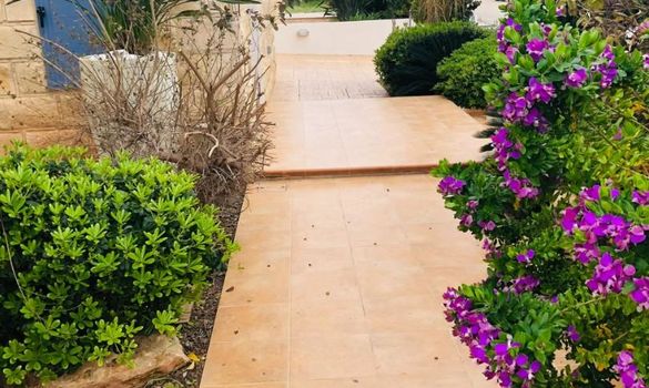 250 m2 - 4133 - photo-18