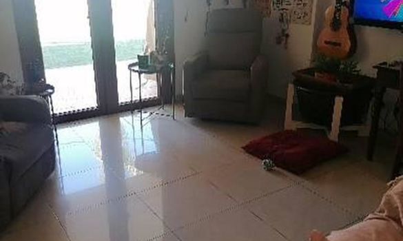 285 m2 - 6379 - photo-12