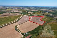 Field - 7412 - photo-3