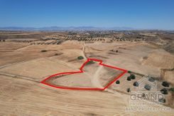 Field - 7395 - photo-1