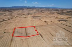 Field - 7397 - photo-1