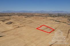 Field - 7397 - photo-2