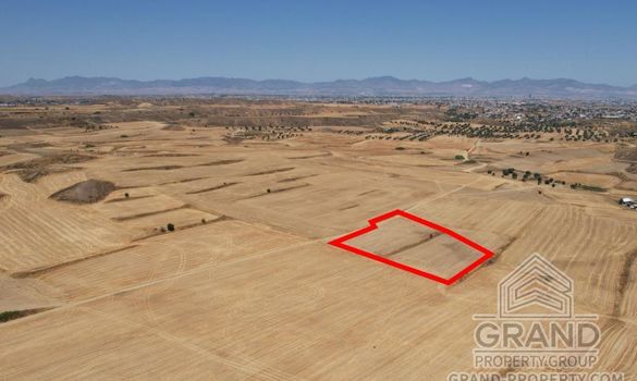 Field - 7397 - photo-2