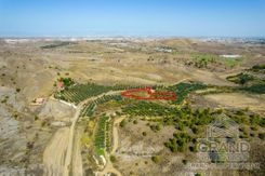 Field - 7525 - photo-2