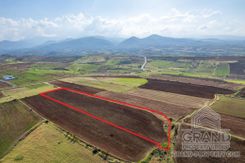 Field - 7867 - photo-1