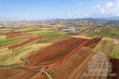 Field - 7867 - photo-2