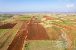 Field - 7867 - photo-4