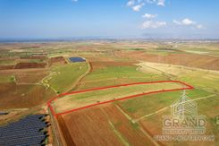 Field - 7870 - photo-1
