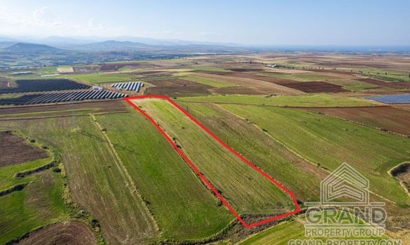 Field - 7870 - photo-2