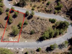 Plot - G7526 - photo-2