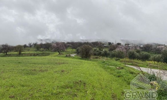 Field - G5362 - photo-5