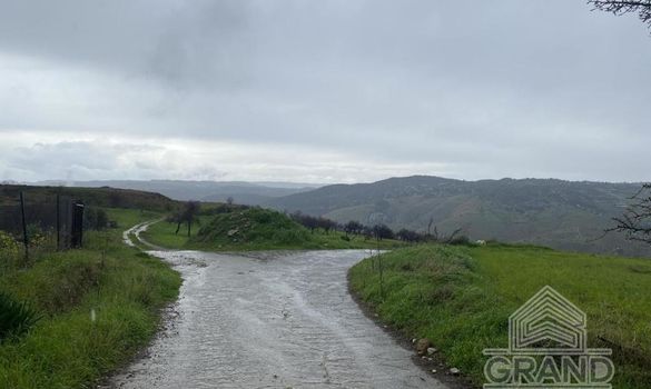 Field - G5362 - photo-6