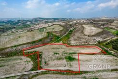 Field - G7977 - photo-2
