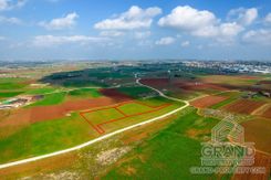 Field - G7628 - photo-1