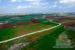 Field - G7628 - photo-4