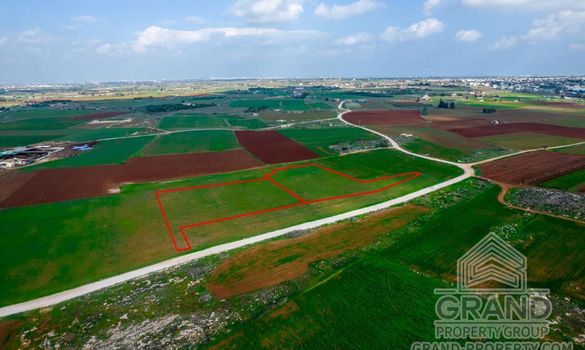 Field - G7628 - photo-4