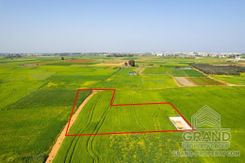 Field - G7644 - photo-2